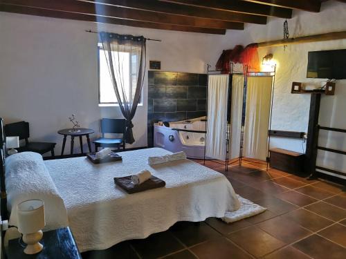 Puerto del Rosario Bed & Breakfast | Villa Cecilio