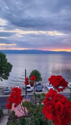 Pestani Apartment | Villa DANIEL Pestani