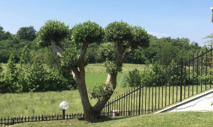 Pozzolengo Villa | Villa Elisa Relax