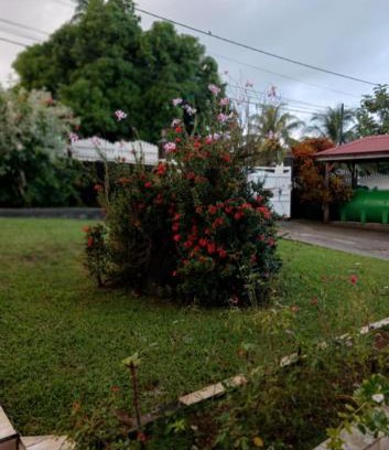 Sainte-Rose House | Villa hibiscus