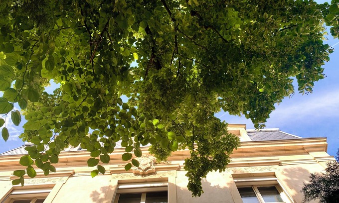 Poincare - Foch - Anatole France - Croix de Bourgogne Villa | Villa Lepois & Spa 5 *