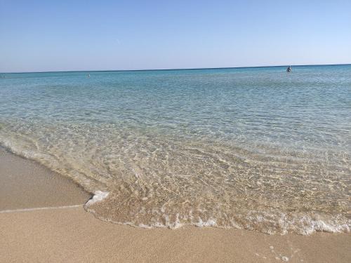 Punta Prosciutto Villa | Villa Palma a 80m dal mare