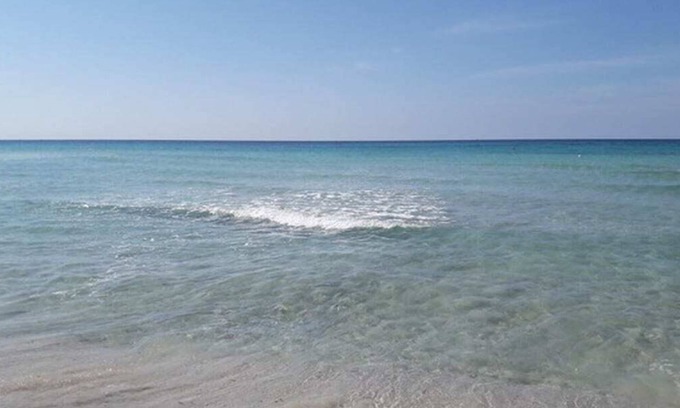 Punta Prosciutto Villa | Villa Penelope - accesso diretto in spiaggia