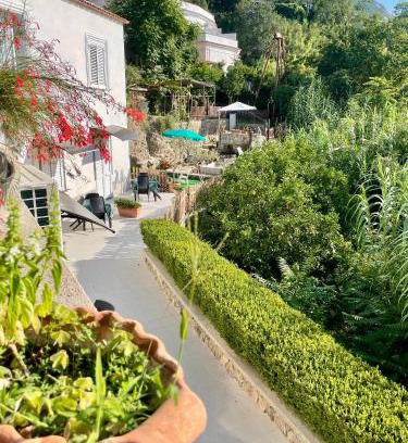 Lacco Ameno Apartment | Villa Raffaela - Appartamenti Lacco Ameno