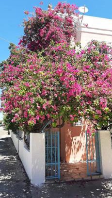 Perdhika Apartment | Villa Rodanthos