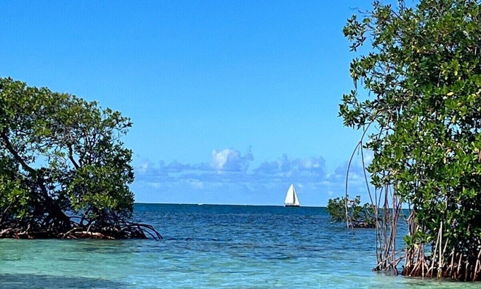 Petit-Bourg Villa | Villa Saint Vincent by Habitation Saint Charles