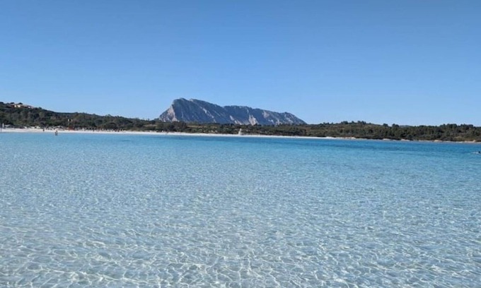 Monte Petrosu Villa | Villa Smeralda San Teodoro