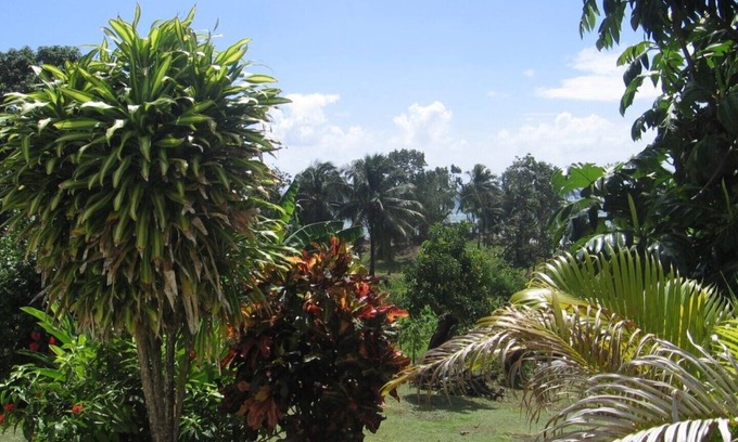 Capesterre-Belle-Eau House | - Villa T3 -