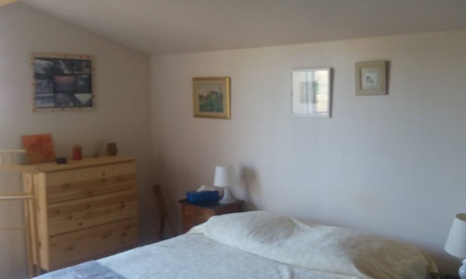 Le Brusc Villa | Villa under the pines, for 8 or 12 people (adjoining annex in summer)