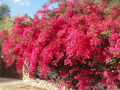 Cala Sinzias House | Villetta a 300mt dal mare Cala Sinzias