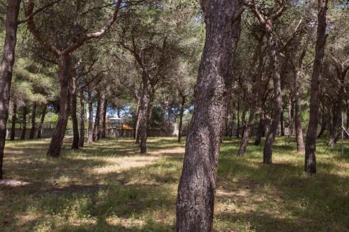 Porto Cesareo House | Villetta La Pineta by BarbarHouse