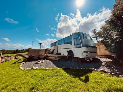 Ballymoney Other | Vincent