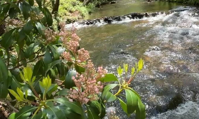 Hiawassee Cabin | Vintage Luxury CreeksideCabin w/FirePit, King, Game Room, Hot Tub, BBQ, Wi-Fi