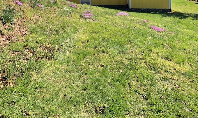 Burnsville House | Vintage Private Cottage