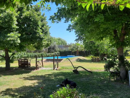 Cuadro Nacional House | Vista Verde