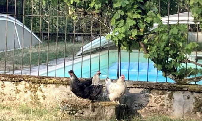 Chatillon-Sur-Loire House | Vrbo Property