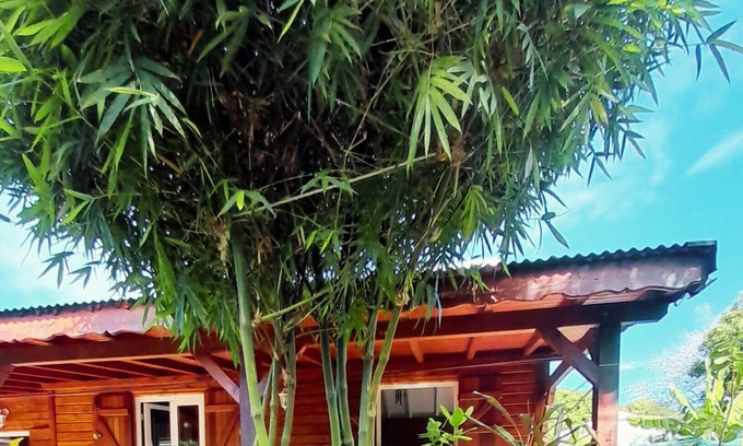 Anse-Bertrand Villa | Vrbo Property