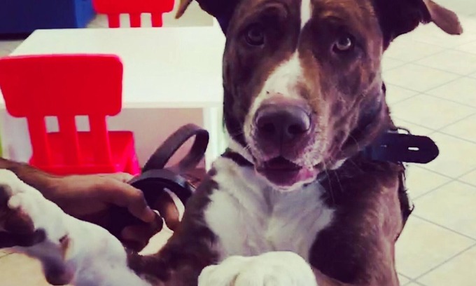 Lido di Spina Apartment | Vrbo Property