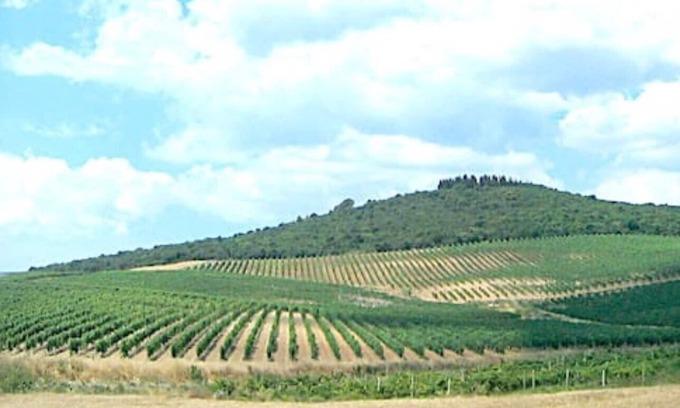 Massa Marittima Villa | Vrbo Property