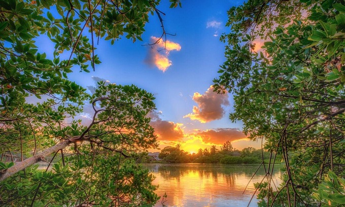 Bella Vista Condo | Walk to the beach, shopping, restaurants, and more! ❤️💛💚