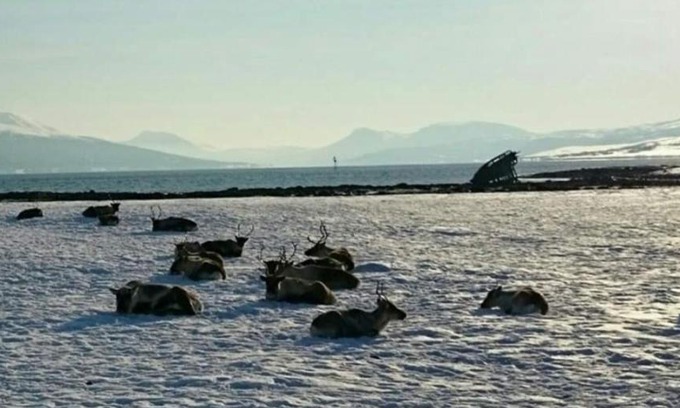 Tromso House | Warm and cozy cottage, Great location