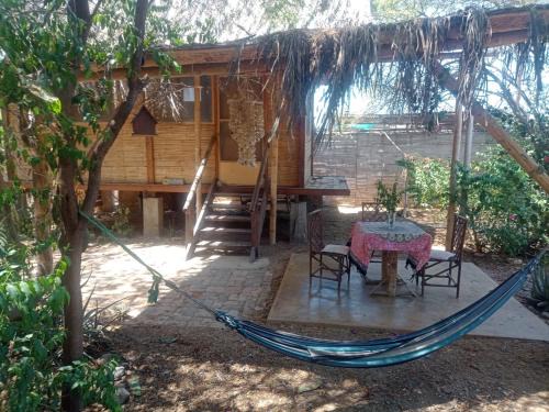 Mancora Other | Wasi Center Homestay Holistic and Mystic