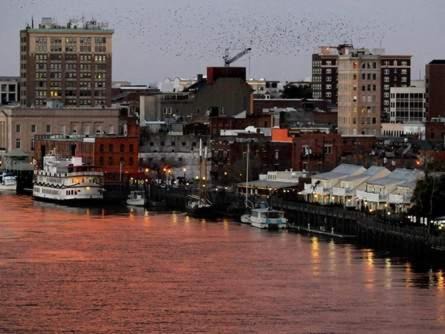 Wilmington Apartment | Water Street Retreats 03