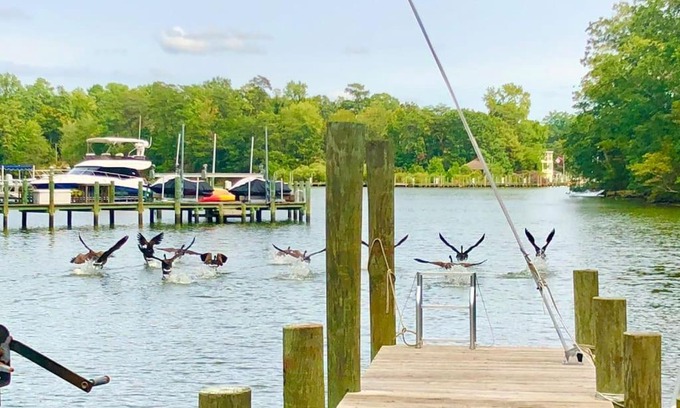 Weems House | Waterfront Home With Boat Dock & Study