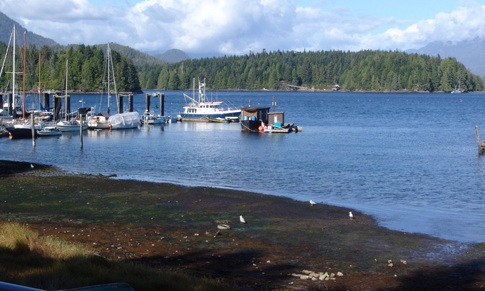 Tofino House | Waterfront View of the Inlet, Short Walk to Town