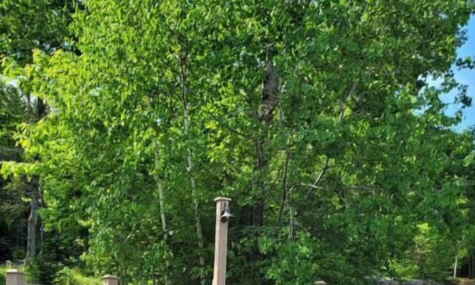 Waterville Valley Apartment | Waterville Condo located Close to Skiing, Trails & Town!!
