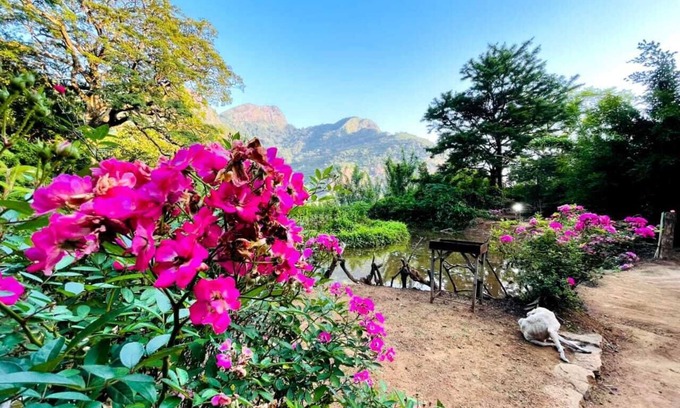 Meemure Bed & Breakfast | welcome to meemure adventure park