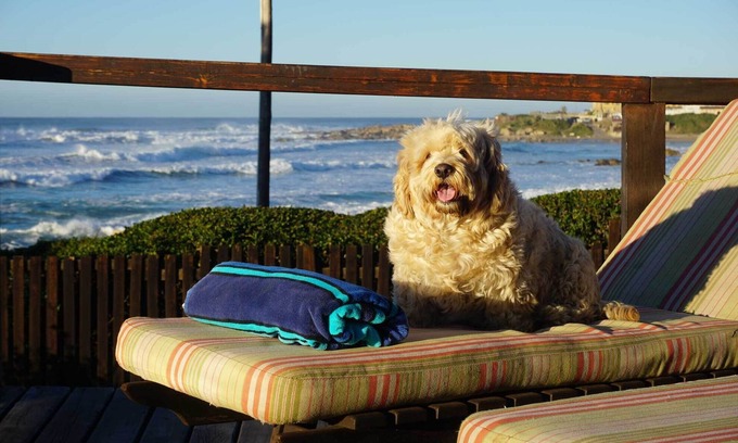 Ramsgate Beach House | Whaleback Cottage