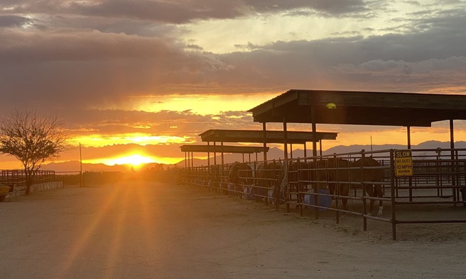 Wickenburg House | Wickenburg Arizona Casita