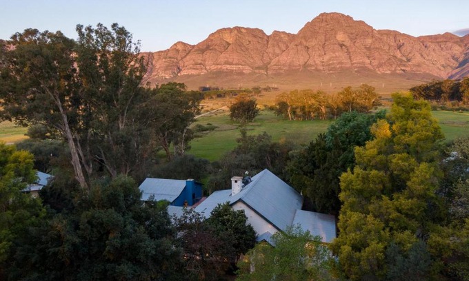 Hermon House | Wild Olive House