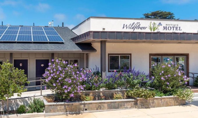 Point Arena Hotel | Wildflower Boutique Motel