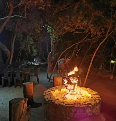 Kareeberg Other | Wildland Safaris