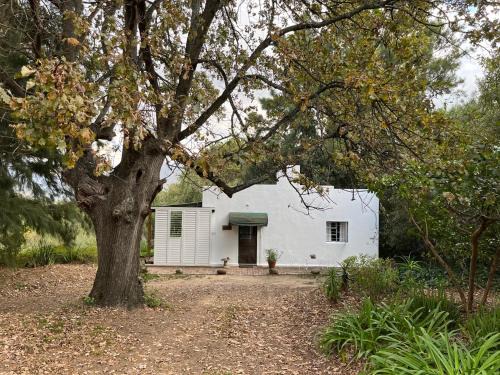 Franschhoek Apartment | William's Cottage