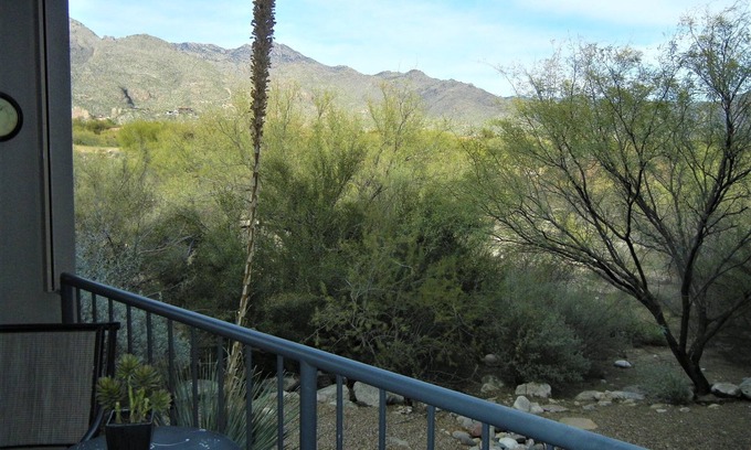 Tucson Condo | Windows to Catalina Mountains inside-out. Private patio to enjoy Tucson charm