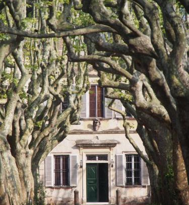 Fauglia Apartment | Windrose Casabianca