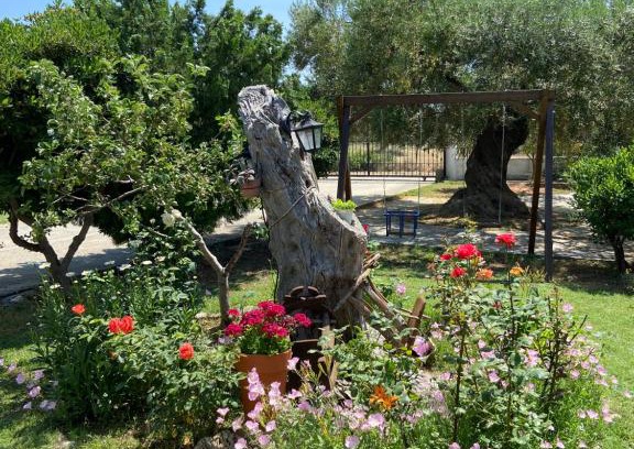 Gerakini House | Wine & Olive Studio