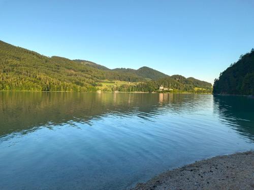 Hof bei Salzburg Apartment | Wohlfühl-Ferienwohnung "Igelnest"