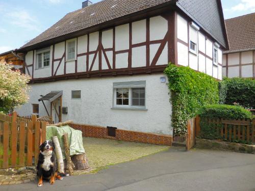 Leuderode Apartment | Wohnung in Leuderode beim Wildpark