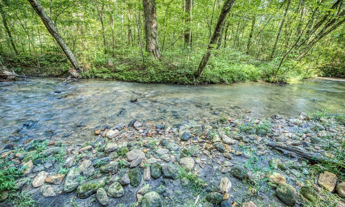 Ellijay House | Wooded Seclusion, Private Creekside Oasis, 3 Dogs Welcome, 2 Fenced Acres