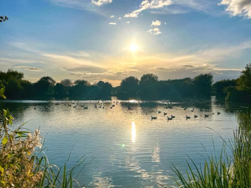 Rochford House | Woodland House - Uk48581