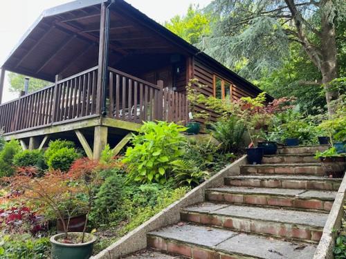 Milton Abbas Ski Chalet | Woodland Views Lodge