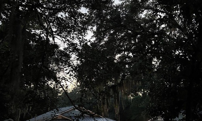 Arlington House | Woodsy 3-bedroom retreat on 600 acre nature preserve in Jacksonville near beach