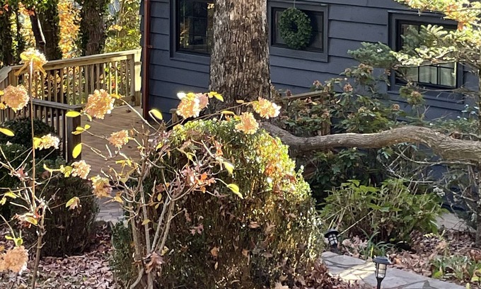 Glenville Ski Chalet | Woodsy Cabin @ Lake Glenville- minutes to marina & brewery