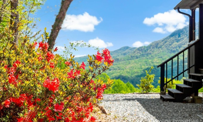 Piney Mountain House | Writer's Block - Big View, Fire Pit, Great Getaway