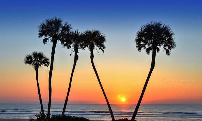 Brush - Stewarts Condo | Wyndhams Ocean Walk Resort