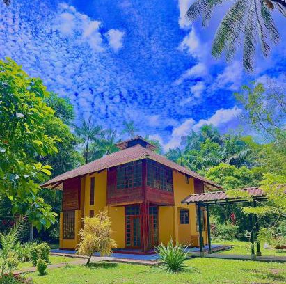 Leticia House | Yawira House